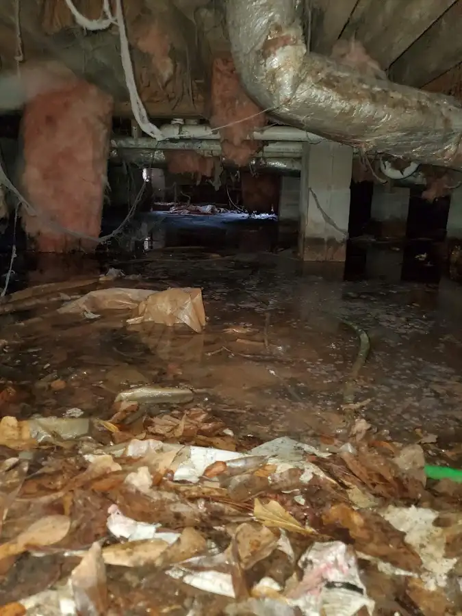 Crawl space flood assessment for Leak Detection & Repair in Meadow Woods